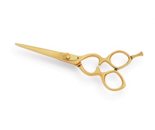 Professional Hair Cutting Scissors 